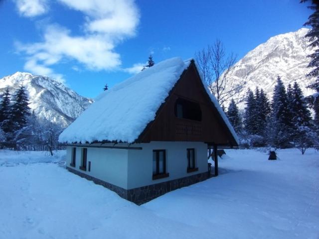 Pocitniska Hisa Taler Villa Bohinj Exteriör bild