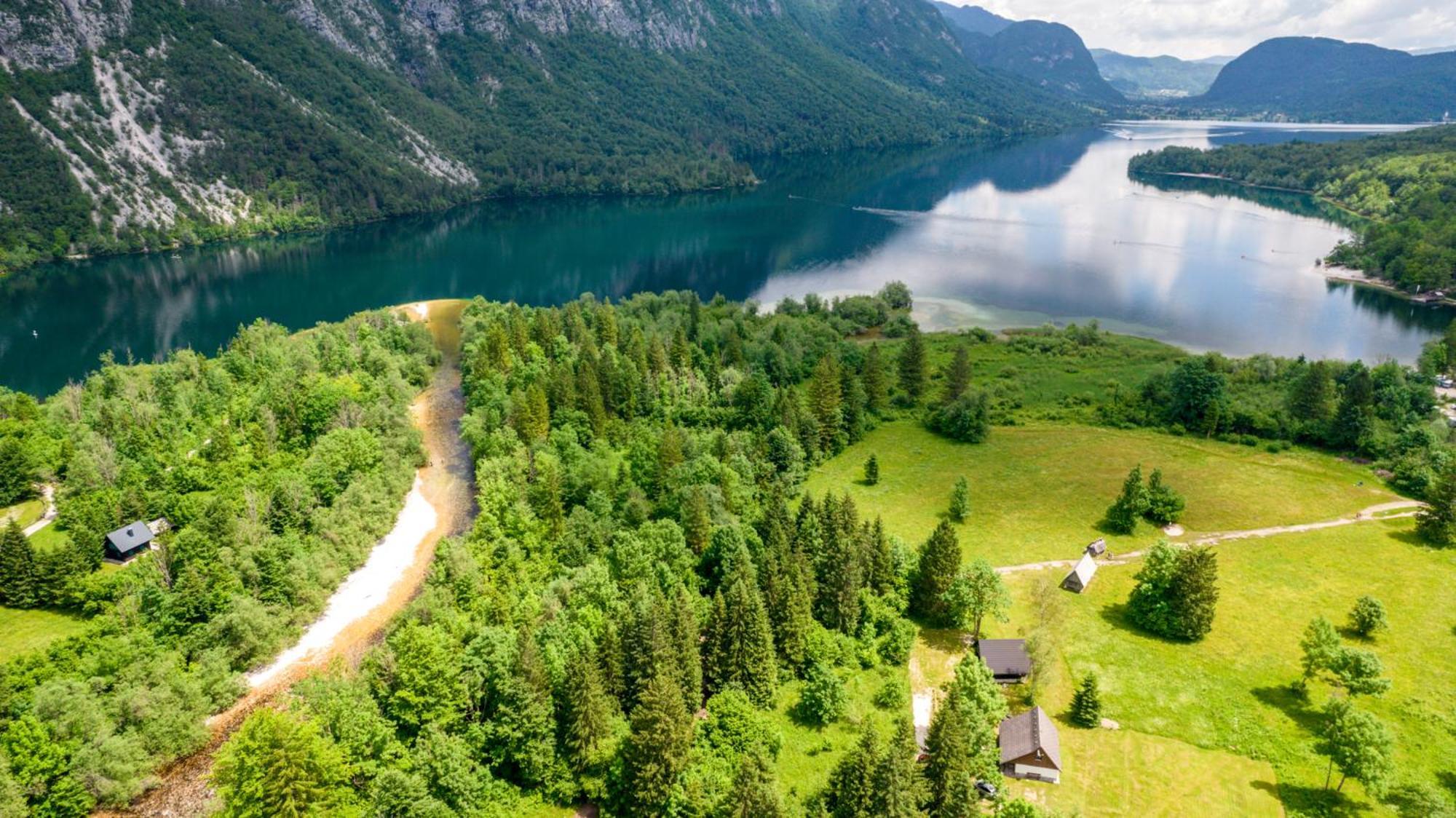 Pocitniska Hisa Taler Villa Bohinj Exteriör bild