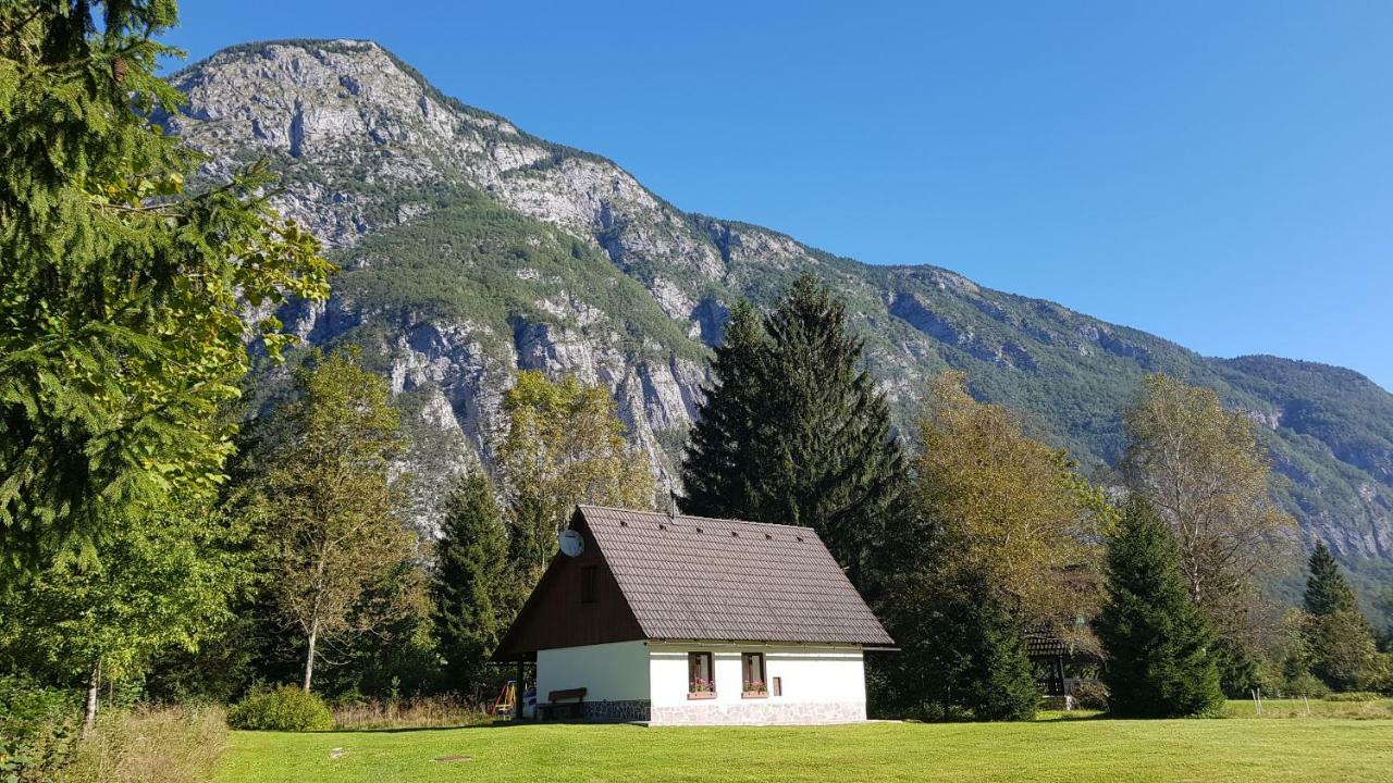 Pocitniska Hisa Taler Villa Bohinj Exteriör bild